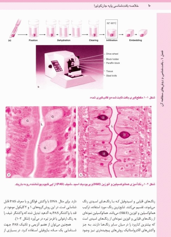 خلاصه QRS بافت‌شناسی پایه جان‌کوئیرا 2024