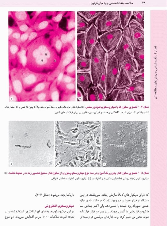 خلاصه QRS بافت‌شناسی پایه جان‌کوئیرا 2024