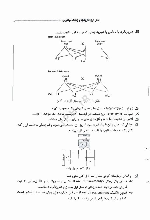 نکات داغ دوجلدی AGK ژنتیک انسانی