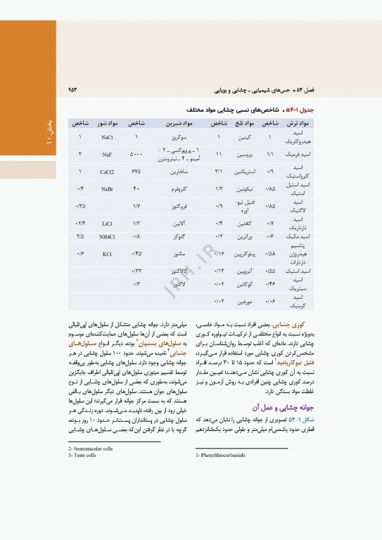 فیزیولوژی پزشکی گایتون و هال 2026 دو جلدی