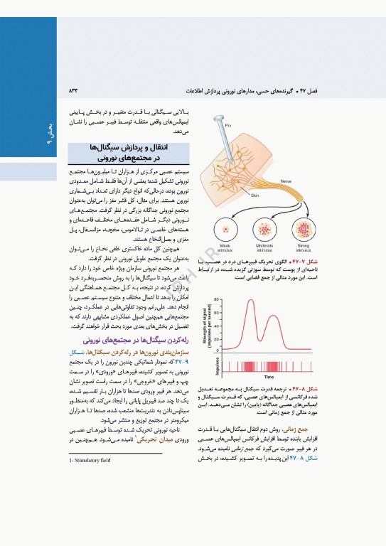 فیزیولوژی پزشکی گایتون و هال 2026 جلد دوم