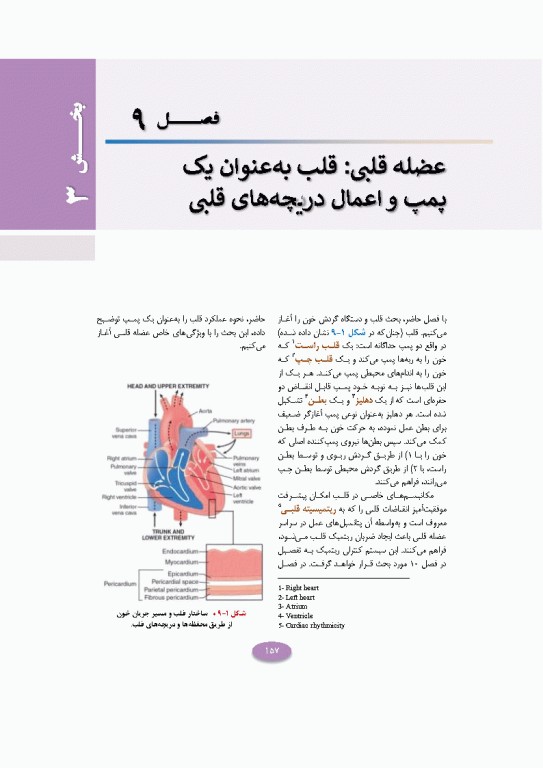 فیزیولوژی پزشکی گایتون و هال 2026 دو جلدی