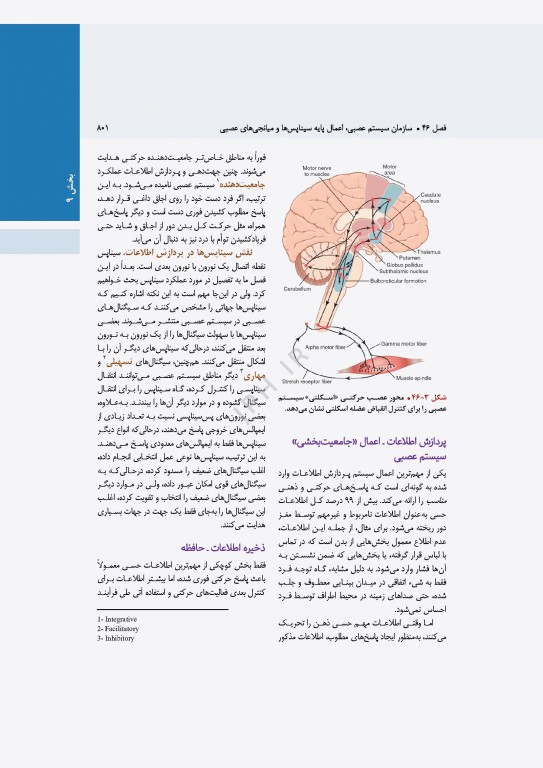 فیزیولوژی پزشکی گایتون و هال 2026 جلد دوم