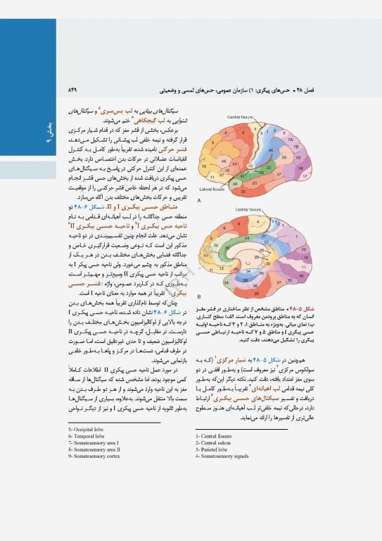 فیزیولوژی پزشکی گایتون و هال 2026 دو جلدی