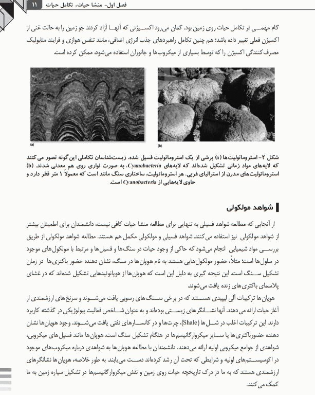 رده بندی میکروارگانیسم‌ها