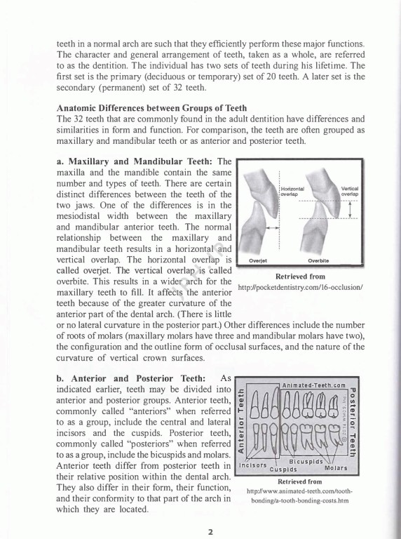 انگلیسی تخصصی دندانپزشکی دانشگاه علوم پزشکی شیراز | English for the Students of Dentistry