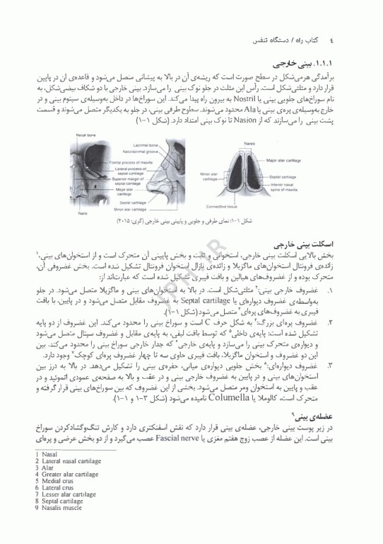 دستگاه تنفس