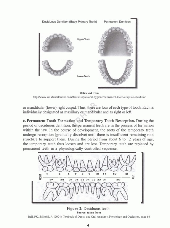 انگلیسی تخصصی دندانپزشکی دانشگاه علوم پزشکی شیراز | English for the Students of Dentistry