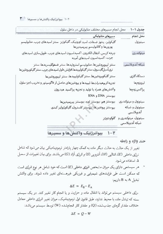 ضروریات بیوشیمی جلد سوم بیوشیمی متابولیسم