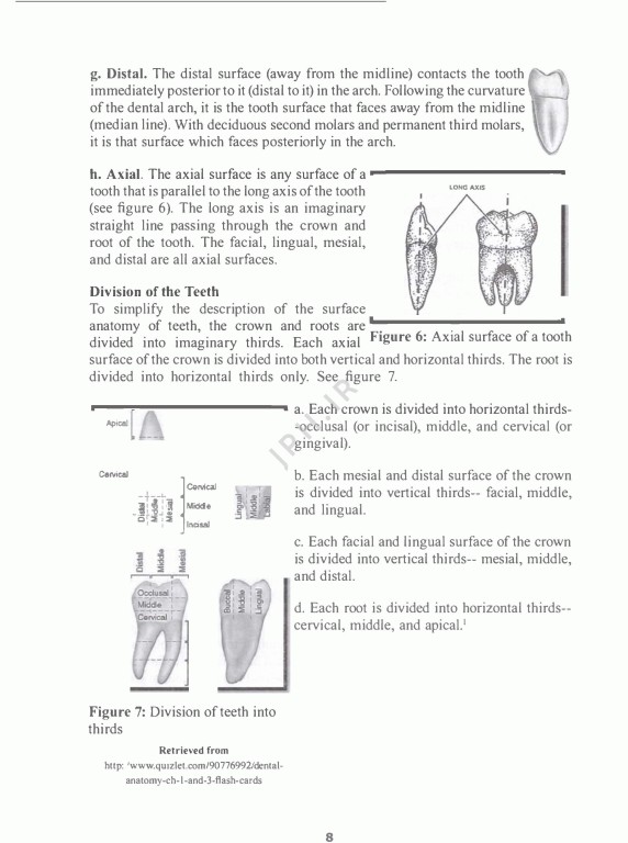 انگلیسی تخصصی دندانپزشکی دانشگاه علوم پزشکی شیراز | English for the Students of Dentistry