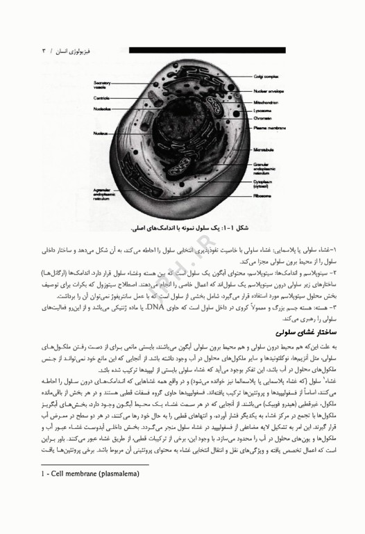 فیزیولوژی انسان ویژه رشته‌های زیر گروه پیراپزشکی