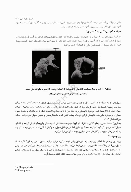 اصول اپیدمیولوژی و مبارزه با بیماری‌ها برای پرستاران