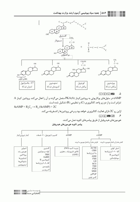 جعبه‌ی سیاه بیوشیمی 1404