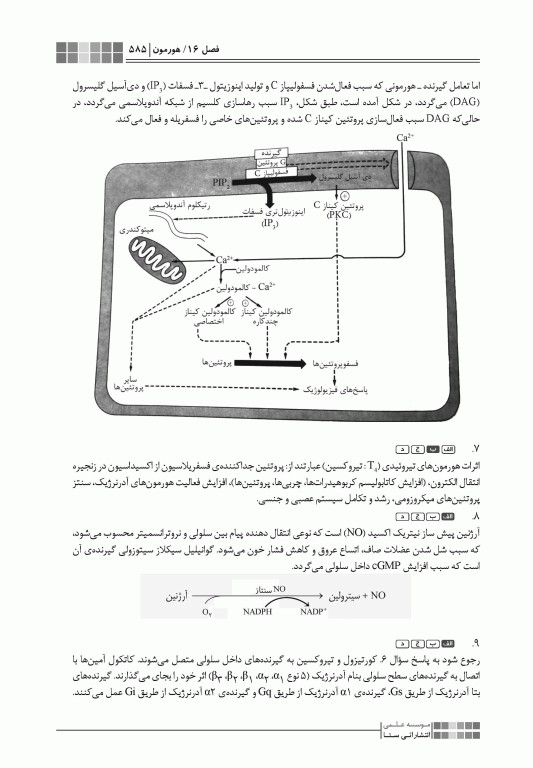 جعبه‌ی سیاه بیوشیمی 1404