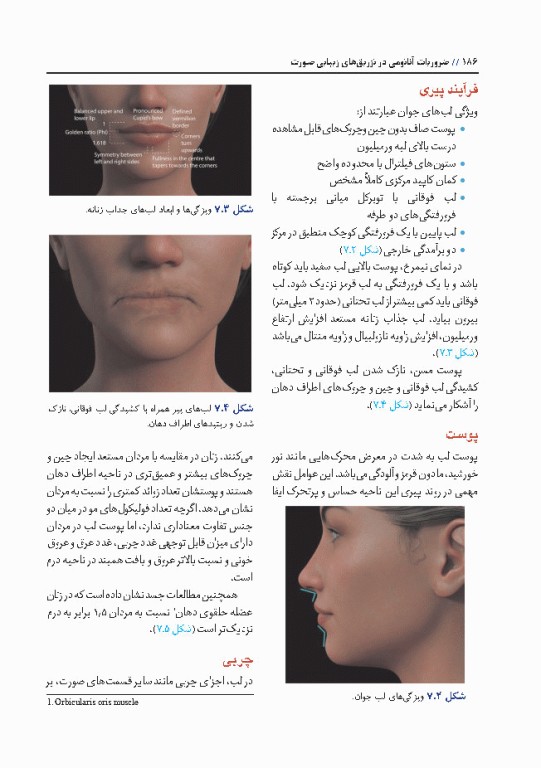 ضروریات آناتومی در تزریق‌های زیبایی صورت 2020 ترجمه دکتر داوود رمزی