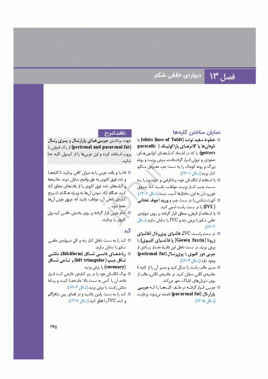 راهنمای مصور و بالینی تشریح بدن انسان گری 2025