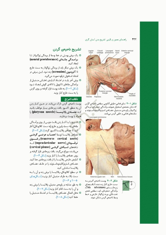 راهنمای مصور و بالینی تشریح بدن انسان گری 2025