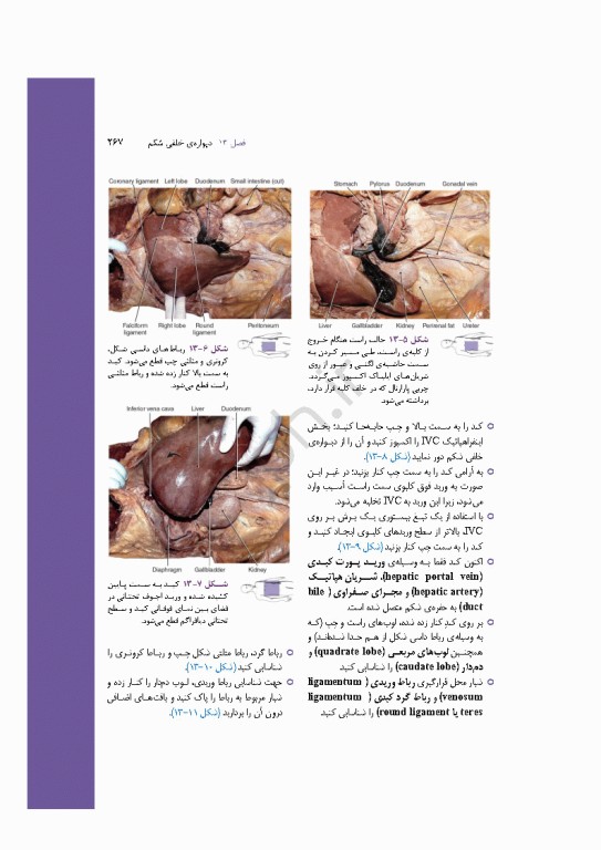 راهنمای مصور و بالینی تشریح بدن انسان گری 2025