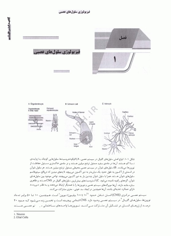 درسنامه AGK نوروفیزیولوژی ویژه دکترای رشته علوم اعصاب