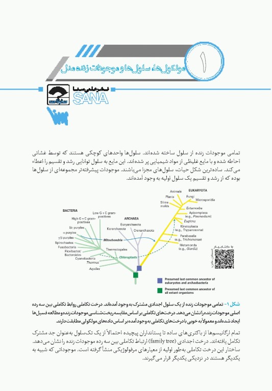 صفر تا صد زیست‌شناسی سلولی