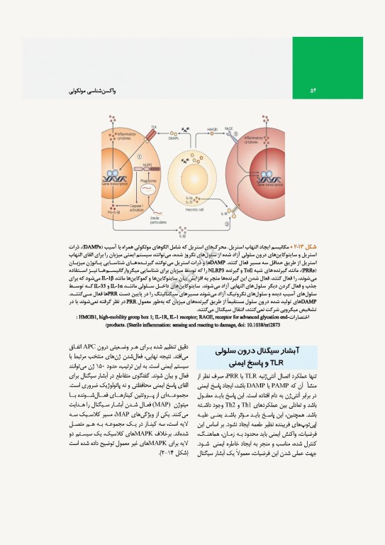 واکسن‌شناسی مولکولی