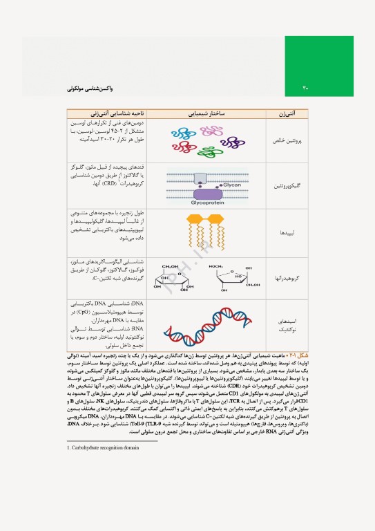 واکسن‌شناسی مولکولی