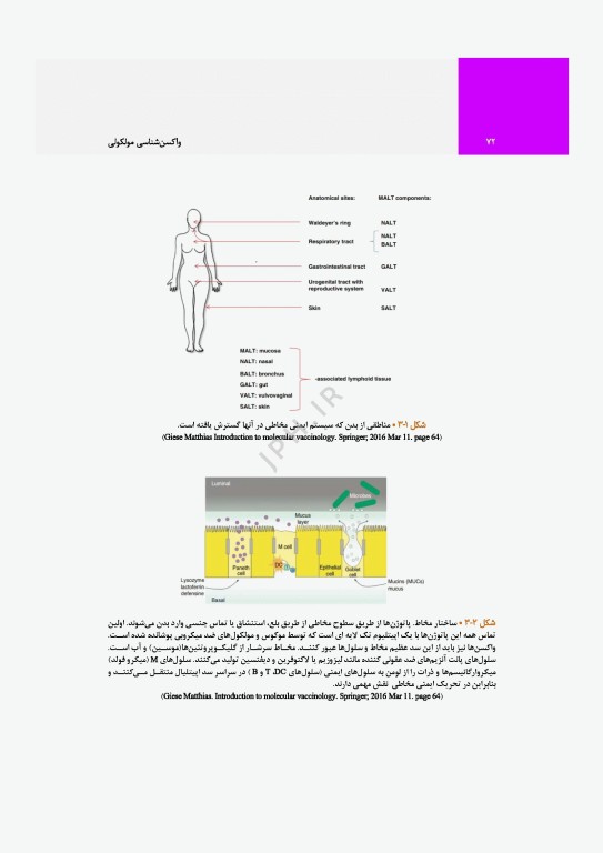 واکسن‌شناسی مولکولی