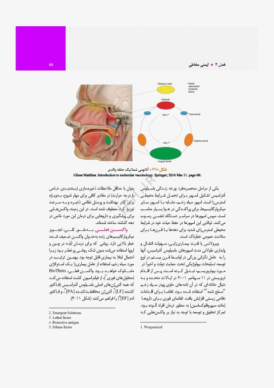 واکسن‌شناسی مولکولی