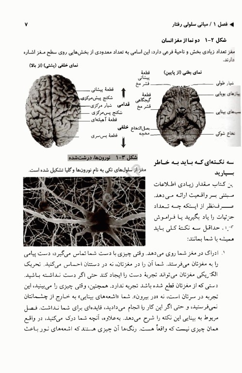 روان‎‌شناسی فیزیولوژیک جیمز کالات 2024 ترجمه یحیی سیدمحمدی