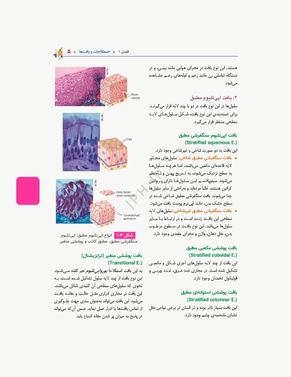 آناتومی عمومی یگانه