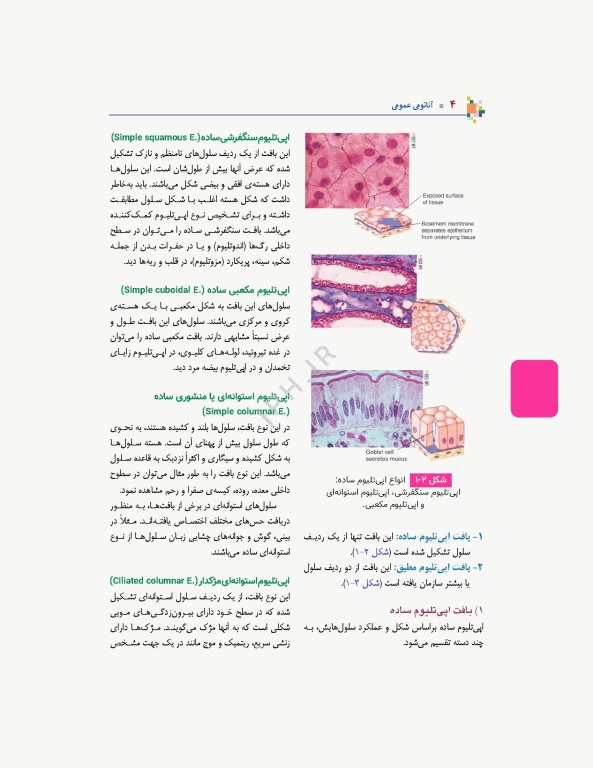 آناتومی عمومی یگانه