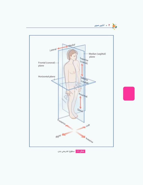 آناتومی عمومی یگانه