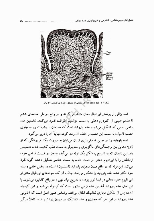 سیالوره (بزاق ریزش)