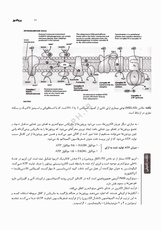 درسنامه پروگنوز پزشکی، دندانپزشکی و لیسانس به پزشکی بیوشیمی 1405