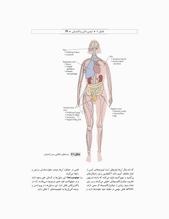 ایمونولوژی و ژنتیک برای پرستاران دکتر راستی