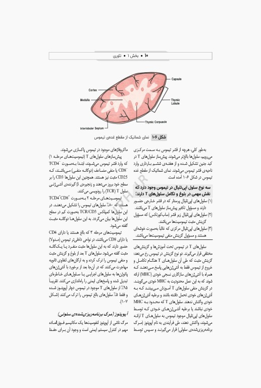 ایمونولوژی و ژنتیک برای پرستاران دکتر راستی