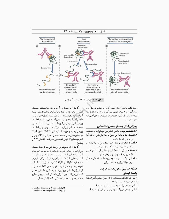ایمونولوژی و ژنتیک برای پرستاران دکتر راستی