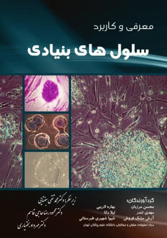 معرفی و کاربرد سلول‌های بنیادی