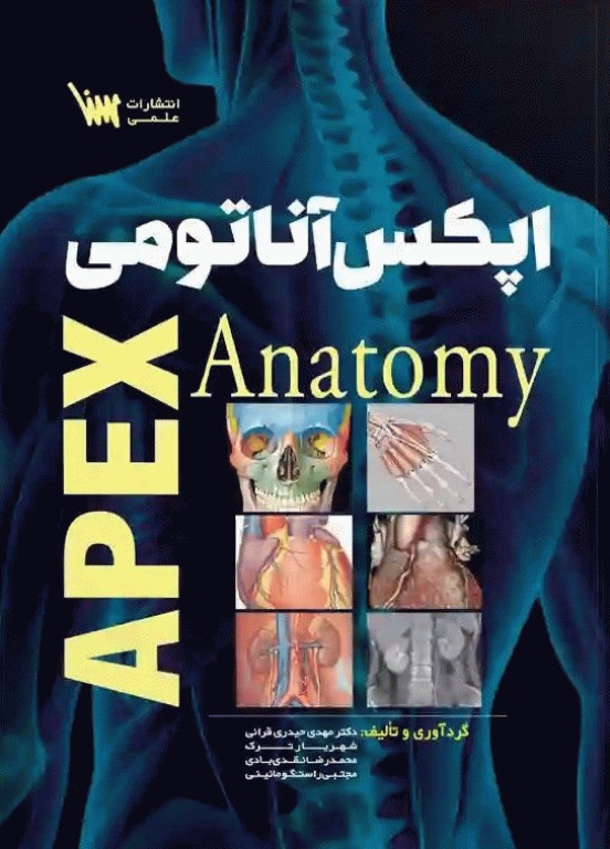 اپکس آناتومی Apex Anatomy