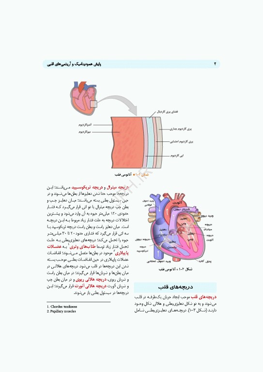 پایش همودینامیک و آریتمی‌های قلبی