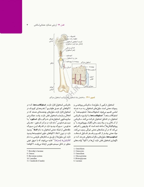 پرستاری داخلی جراحی برونر و سودارث 2026 جلد8 ارتوپدی