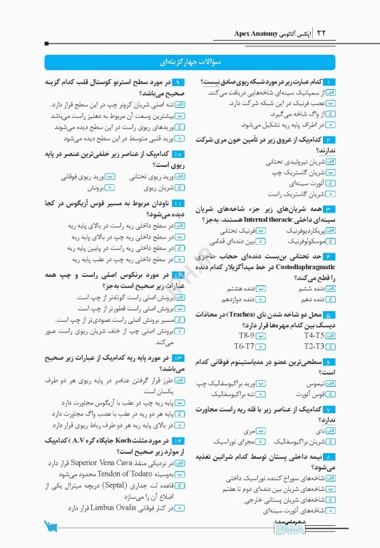 اپکس آناتومی Apex Anatomy