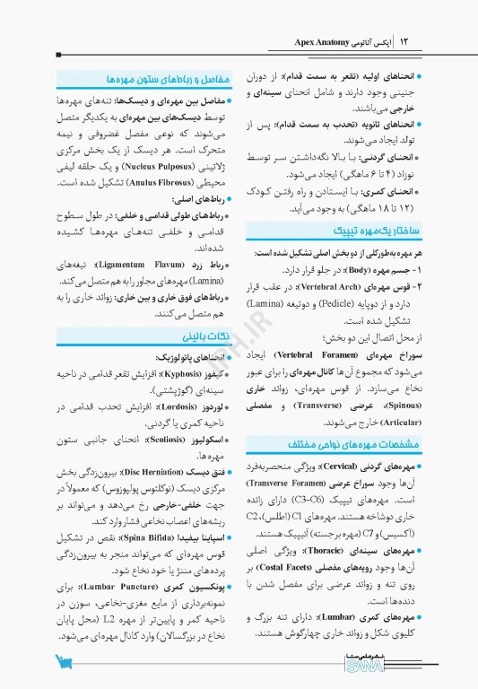 اپکس آناتومی Apex Anatomy