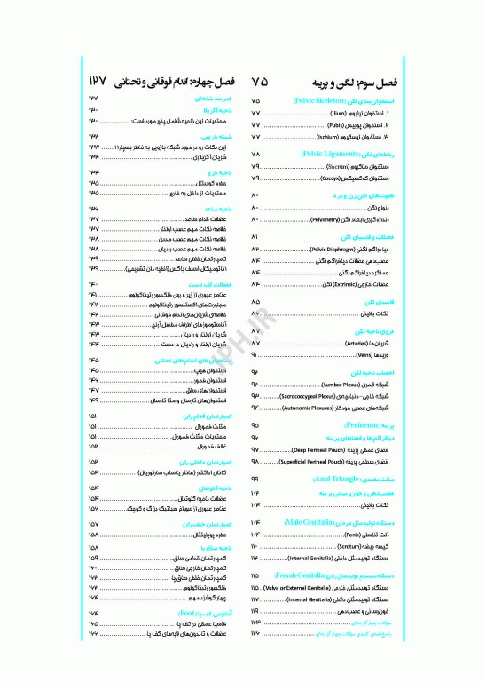 اپکس آناتومی Apex Anatomy