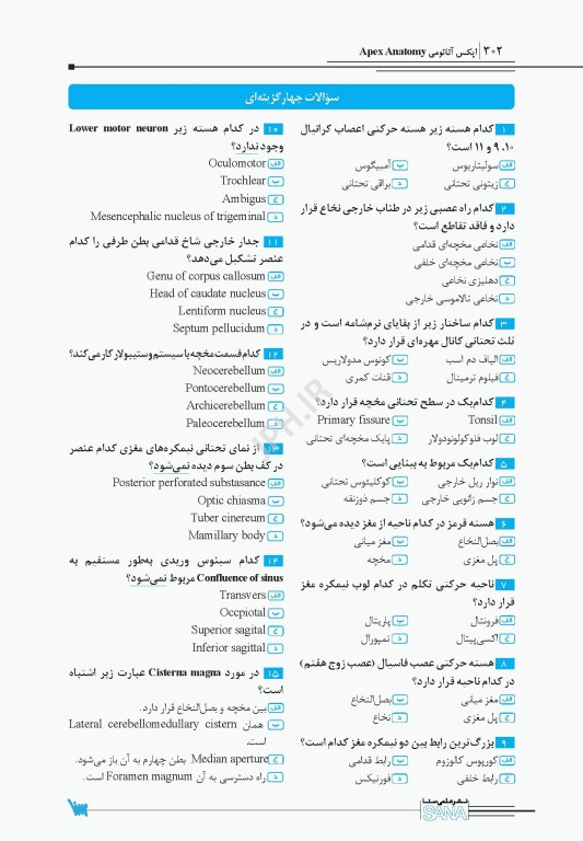 اپکس آناتومی Apex Anatomy