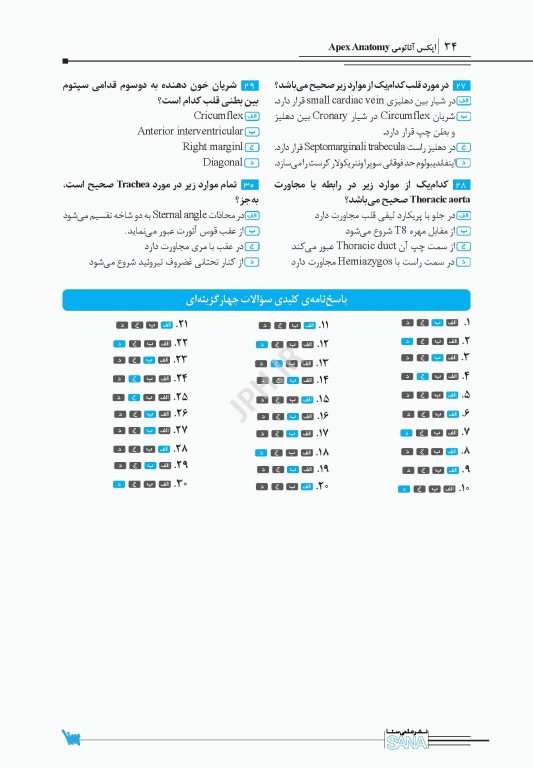 اپکس آناتومی Apex Anatomy