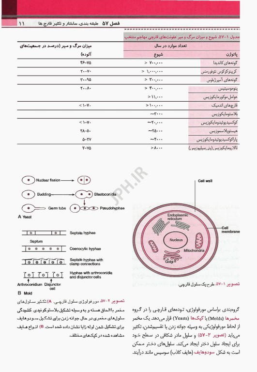 میکروب‌شناسی پزشکی مورای 2026 قارچ‌شناسی و انگل‌شناسی