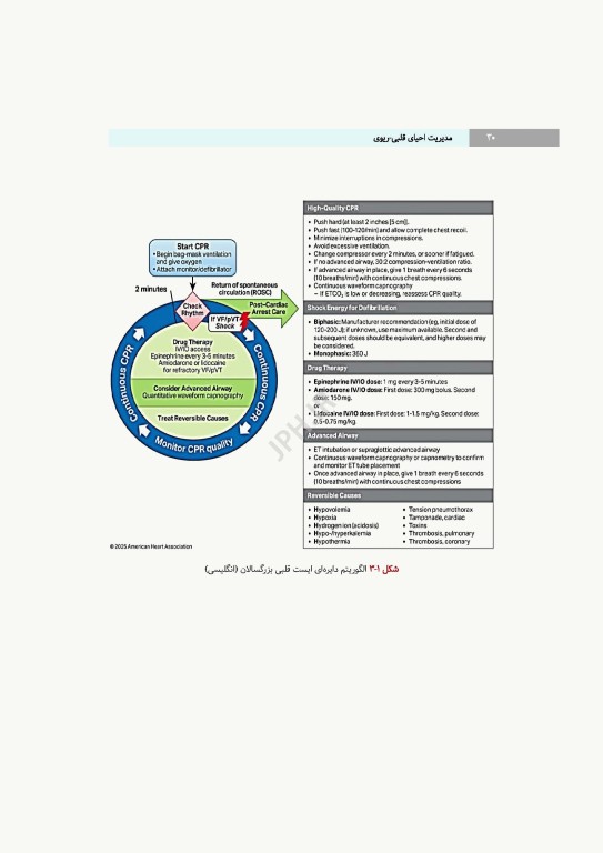 مدیریت احیای قلبی ریوی رویکردی گام به گام در مسیر مراقبت از احیا تا مرگ مغزی