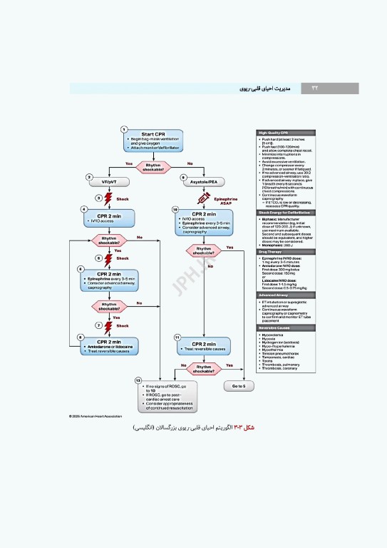 مدیریت احیای قلبی ریوی رویکردی گام به گام در مسیر مراقبت از احیا تا مرگ مغزی