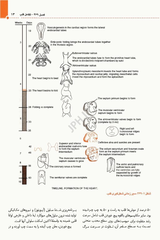 طب کودکان نلسون 2025 بیماری‌های قلب و عروق